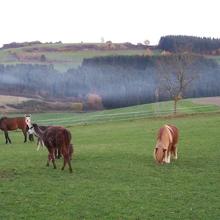 Heilsberger Hof * Niederstadtfeld